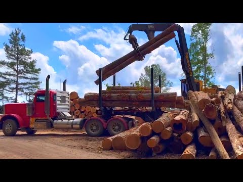 A Day in the Life of a Log Truck Driver | Hauling Heavy Equipment & Loading Logs with a Knuckle Boom