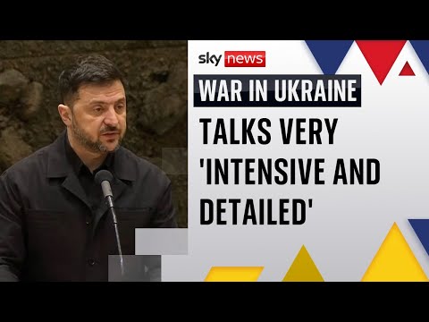 Zelenskyy: US-Ukraine talks were very 'intensive and detailed'