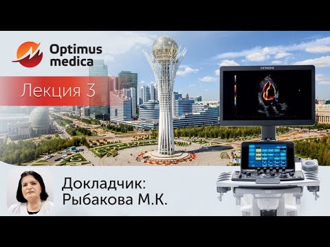 Лекция Рыбаковой М.К. в Астане (ноябрь 2018г.) - тема: "Открытый артериальный проток"