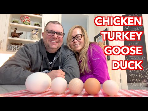 Taste Testing the Eggs of Every Bird On Our Farm