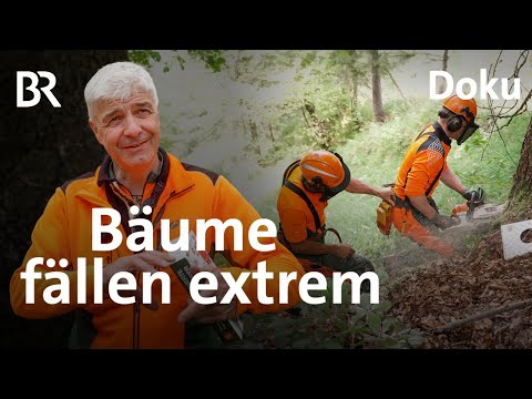 Bäume fällen extrem - Ausflug ins Hochmoor | Die Holzknechte 7/7 | Bergmenschen | Doku | BR