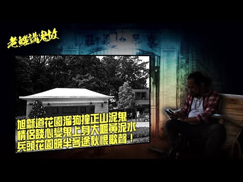 老鱷講鬼故 EP_24 - 集成中心籃球場點解咁猛鬼？旭龢道6.18災難原址鬼影幢幢！旭龢道溜狗撞正山泥鬼！情侶公園談心變鬼上身大嘔黃泥水！兵頭花園涼亭晚上淒涼的客途秋恨歌聲！