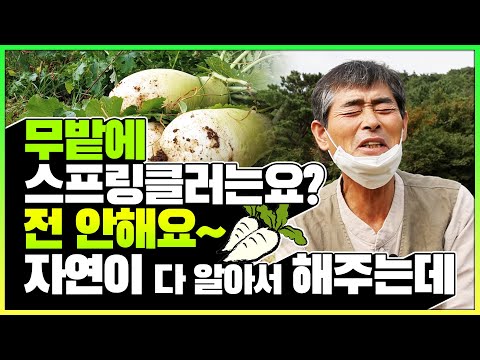 일 많으면 무조건 NO! 나 혼자 1만5천평 짓기 ep 3.무재배