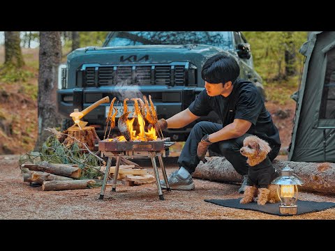 Camping in Forest with My Dog . Roast Fish in the Wild . Wood Stove ASMR