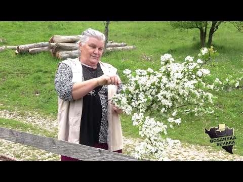 Udati se, rahatluk pokvariti, svoju djecu osramotiti. Nema cijenu