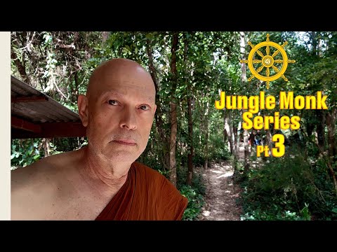Thai Jungle Monk Morning Routine in 4 Parts