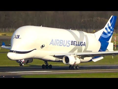 AIRPLANE REVIEW of YEAR 2025 - DUS Edition - Airbus Beluga, A380, B777, B757 ... (4K)