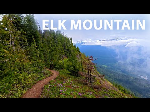 Beautiful Spring Hike up Elk Mountain in Chilliwack, BC Canada