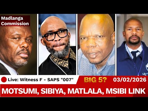 SCREENSHOTS DON'T LIE: Witness F Exposes Mswazi Matlala Msibi Sibiya at #madlangacommission!