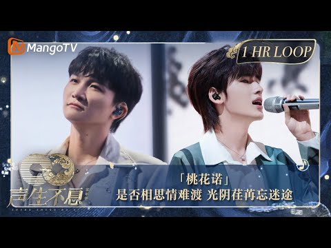 【声生不息·华音循环】｜ #周深 #宋亚轩《#桃花诺》周深绝美吟唱出来的一瞬间，谁的天灵盖被唱爽了｜Enjoy Your 1hr Loop｜#声生不息家年华｜MangoTV