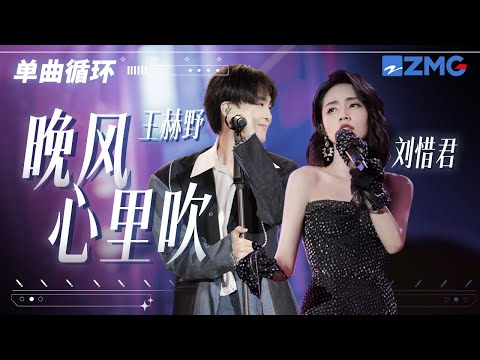 单曲循环丨刘惜君&王赫野《晚风心里吹》「 愿晚风心里吹 吹散我的泪 似风筝把你追 」
