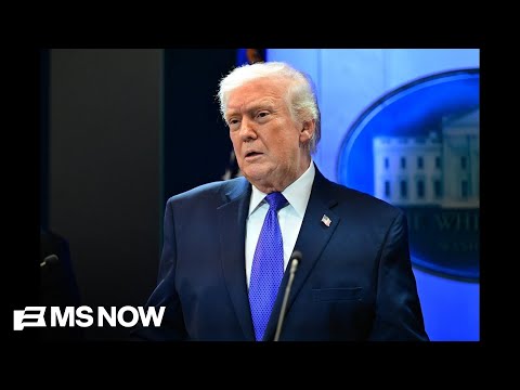 Steele on SOTU: Republicans will 'applaud like little seals'