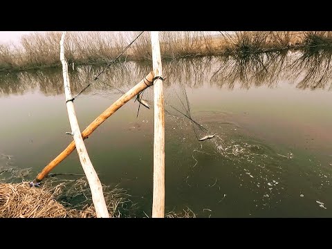 Fishing for PIKE with a crooked line in Siberia. Fishing with a crooked line, like my ancestors d...