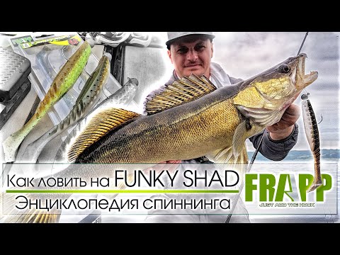 How to catch passive fish? A versatile, effective bait! SPINNING ENCYCLOPEDIA. FRAPP FUNKY SHAD