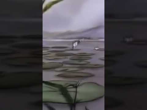 PETER RABBIT & FRIENDS shorts - Tale of Mr Jeremy Fisher, PART 3: Gone Fishin'