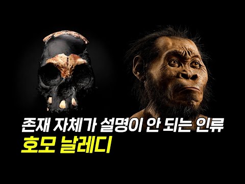 고인류학계도 설명하지 못하는 완전히 새로운 인류, 호모 날레디