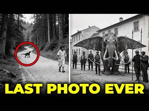 10 Last Photos of Animals We Will Never See Again — the Stories Are Heartbreaking
