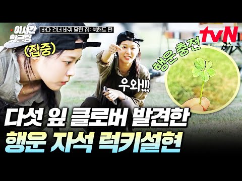 [#바다건너바퀴달린집북해도편] 바달집 식구들의 행운을 빌어주기 위해🍀 네잎클로버 찾다 다섯 잎 클로버까지 발견한 럭키설현🌟