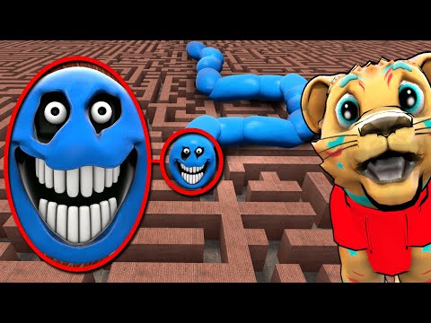HUNGRY SNAKE IN A MAZE... (Gmod Sandbox)