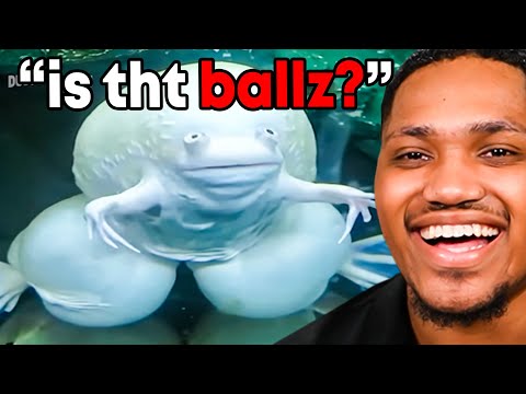 Dusty Douglas Got Me DYIN BRO😂