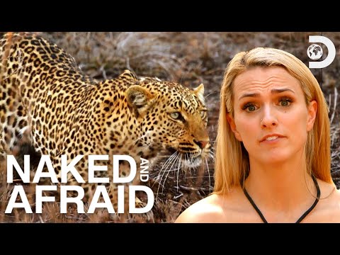 Most Dramatic Moments of Season 11 | Naked and Afraid | Discovery