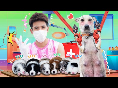 Happy baby born!! Delivered all night..6 babies opened their eyes to the world!