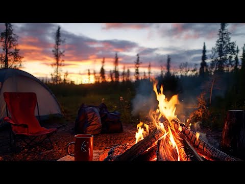 Forest Campfire ASMR (3 hours) 🔥 Gentle Crackling & Deep Calm