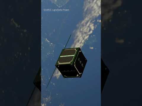 The World’s First Wooden Satellite?