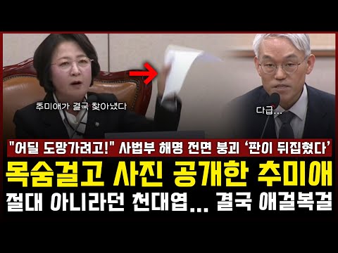목숨걸고 사진 공개한 추미애 '법사위 초토화'... 절대 아니라던 천대엽, 결국 애걸복걸 "사법부 해명 전면 붕괴"