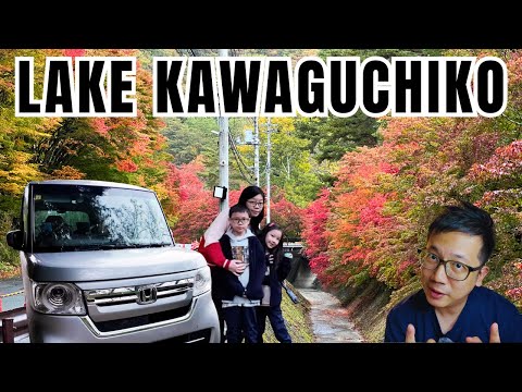Perfect 1-Day Mount Fuji Itinerary with Kids (Self-Drive Guide 2025)
