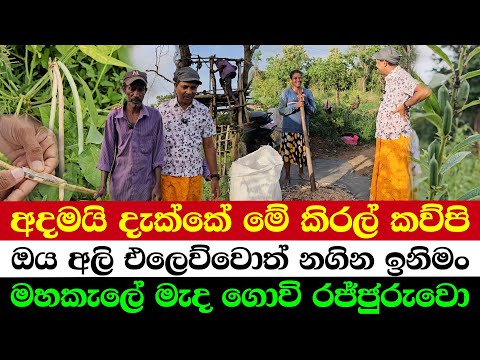 Unbelievable Seed Discovery | Hidden Force Behind the Elephants | The Farmer King of the Great Fores