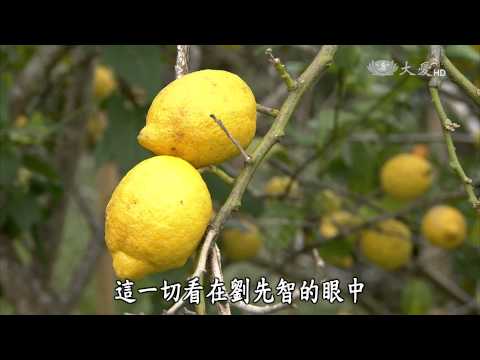 【農夫與他的田】20150323 - 石磊部落的菜園