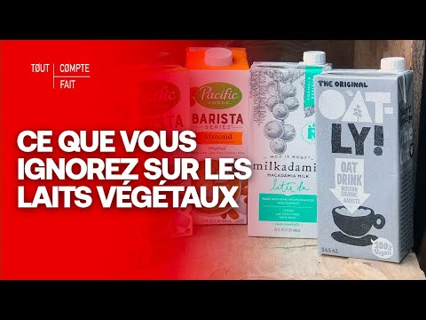 ENQUÊTE : Ce que vous ignorez sur les laits végétaux - Tout Compte Fait
