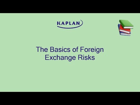 Foreign Exchange Risks