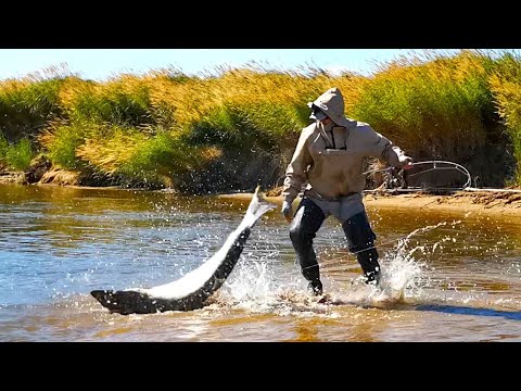 GO GO GO...! Caught a Monster on a Spinning Rod