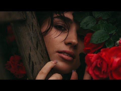 Taurus ♉️Free From Curse Of The Heart ❤️ Wants To Confess Their Feelings To U & Regain Your Trust