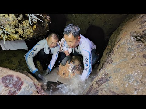 又是大丰收,神奇的月亮坑就像通往龙宫一样,每次都有抓不完的鱼