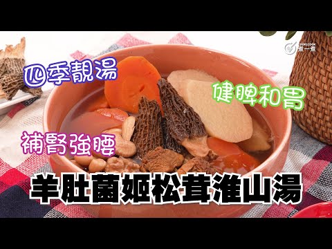 四季靚湯｜健脾和胃｜補腎強腰｜羊肚菌姬松茸淮山湯