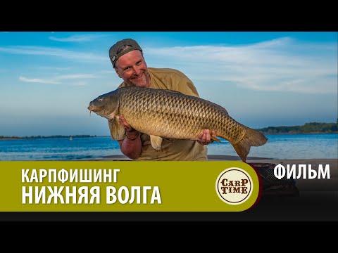 ⭐ Карпфишинг на НИЖНЕЙ ВОЛГЕ! Ловля дикого САЗАНА на БОЙЛЫ ФИЛЬМ