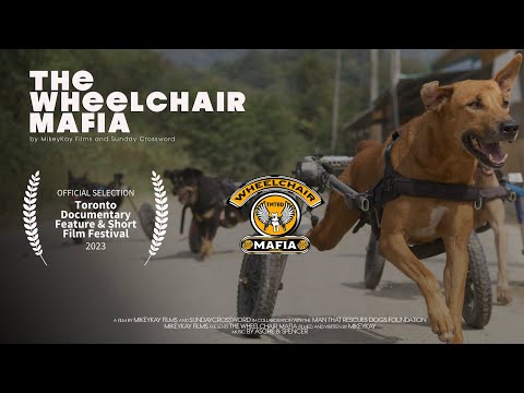 The Wheelchair Mafia.