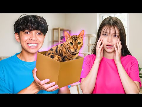 Surprising My Crush with Her Cats...
