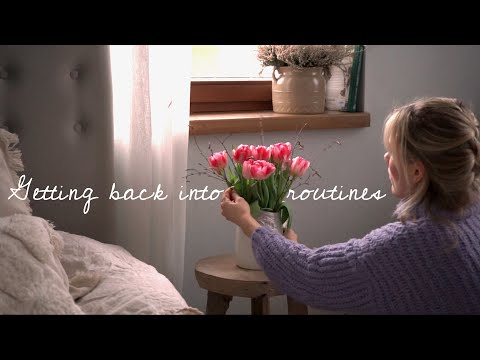 Healthy Winter Routines: Cleaning, Healthier Snickers, New Books & Exercise