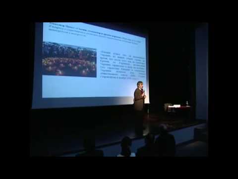 Ярослав Грицак: Хто такі українці і чого вони хочуть?