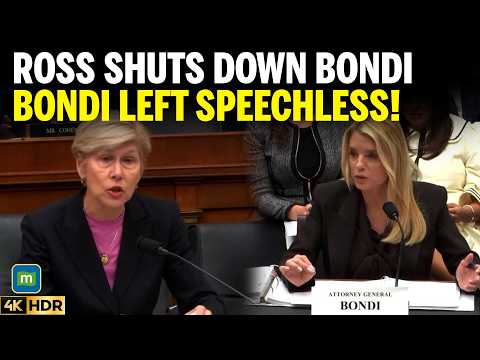 WATCH: Rep. Deborah Ross Leaves Pam Bondi Speechless