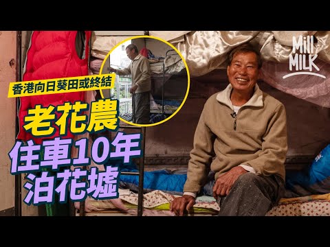 #MM｜信芯園老花農旺角瞓貨車10年 貨車上裝碌架床為補眠 元朗向日葵田待批牌照重開 本地花農僅存少數：花墟已經沒有本地花農的位置；姊妹檔幫手家族花店 花墟將重建｜#700萬種生活 #4K