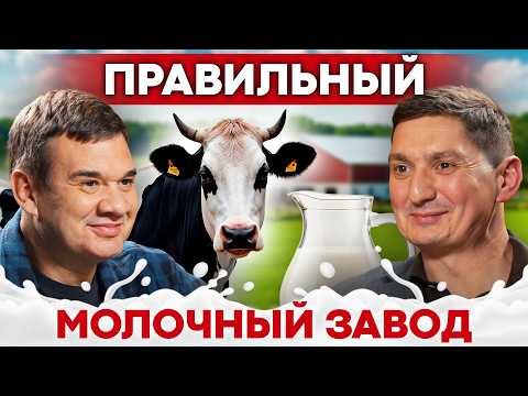 Как устроена современная молочная ферма: от коровы до полки магазина. Советы фермерам | Своя еда