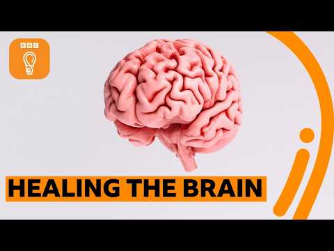 The incredible way our brain can heal itself | BBC Ideas