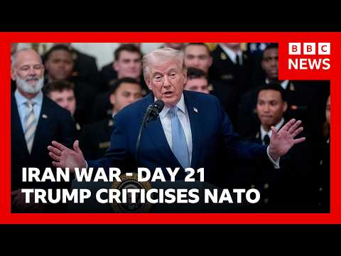 Trump calls Nato allies 'cowards' on day 21 of US-Israel war with Iran | BBC News