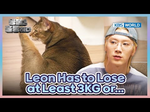 TEN, Your Cat Is Too Fat!🤣 [Animals Are Incredible : EP.16-3] | KBS WORLD TV 250416