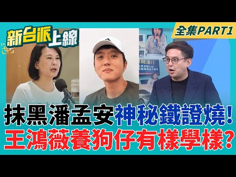 抹黑潘孟安"H記者不夠力"?! 王鴻薇加派另一組人馬跟監? 關鍵對話自爆"養狗仔"?  配合王鴻薇"造假"? 聯合報"不敢反駁"?│李正皓 主持│【新台派上線 PART1】20251008│三立新聞台